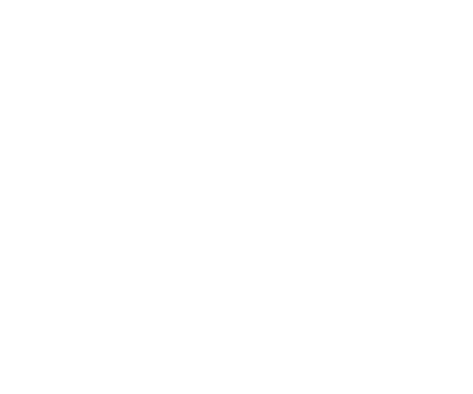 Entrepreneurship Vision