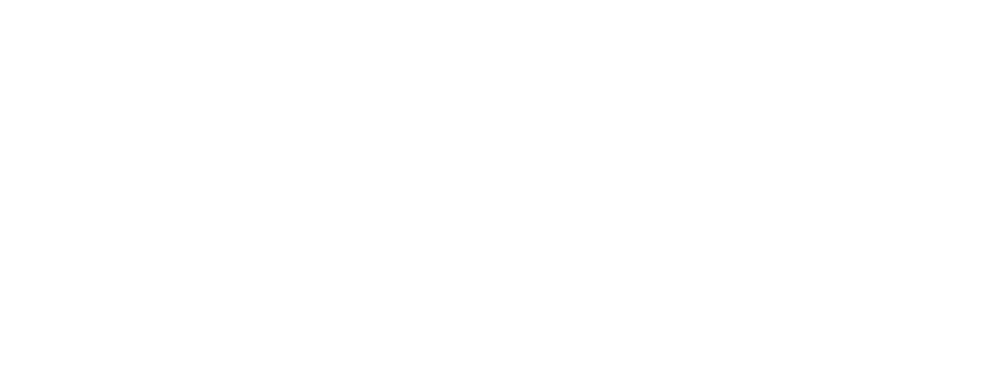Nest Accelerator
